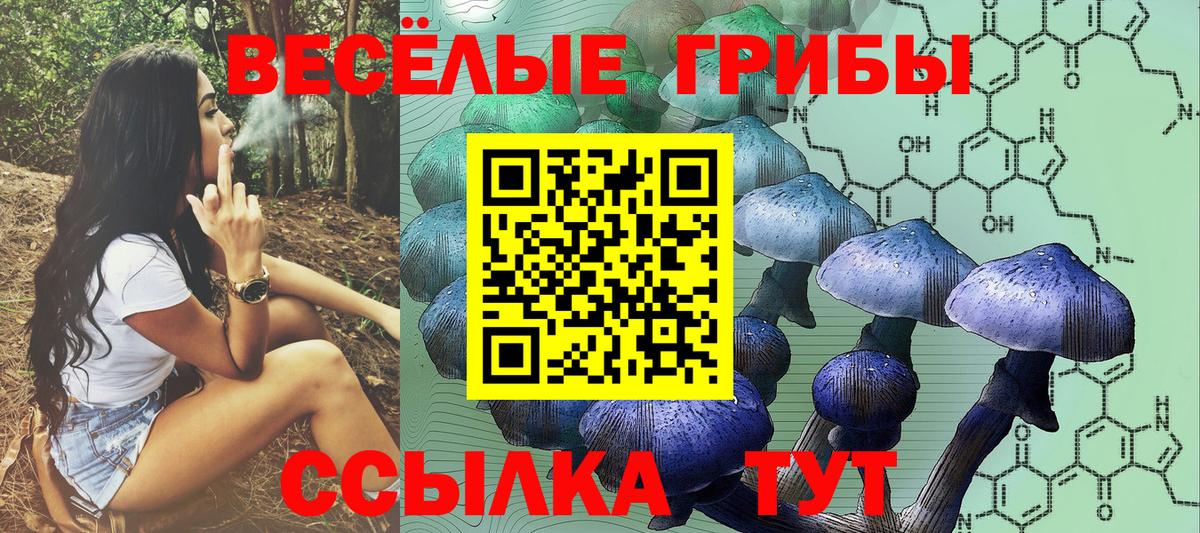 Галлюциногенные грибы прущие грибы Сосновоборск