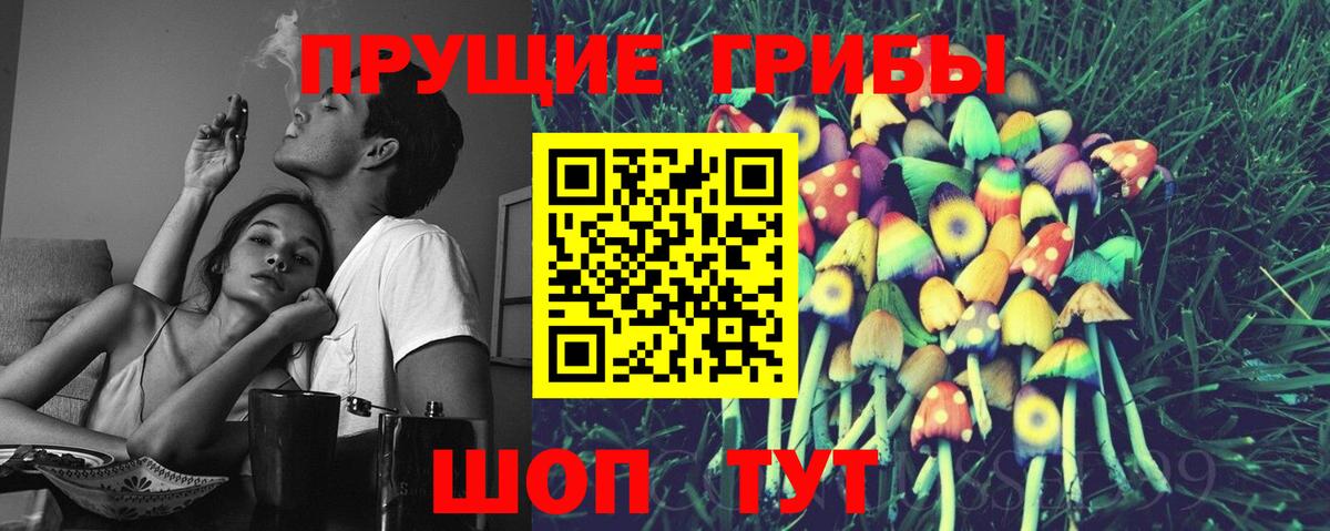 Сосновоборск  Псилоцибиновые грибы ЛСД  Вход с VPN  Псилоцибиновые грибы прущие грибы 
